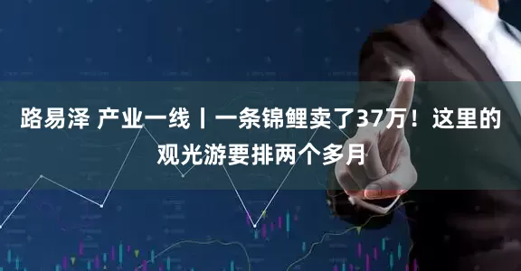 路易泽 产业一线丨一条锦鲤卖了37万！这里的观光游要排两个多月