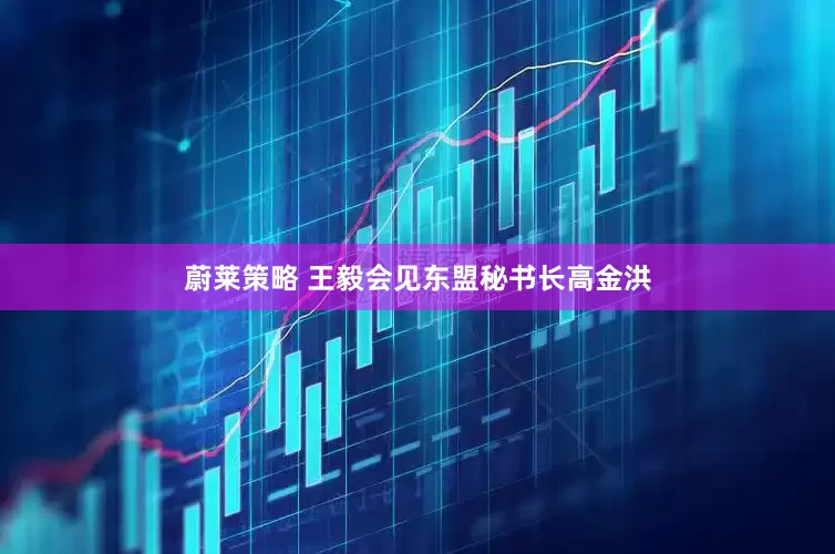 蔚莱策略 王毅会见东盟秘书长高金洪