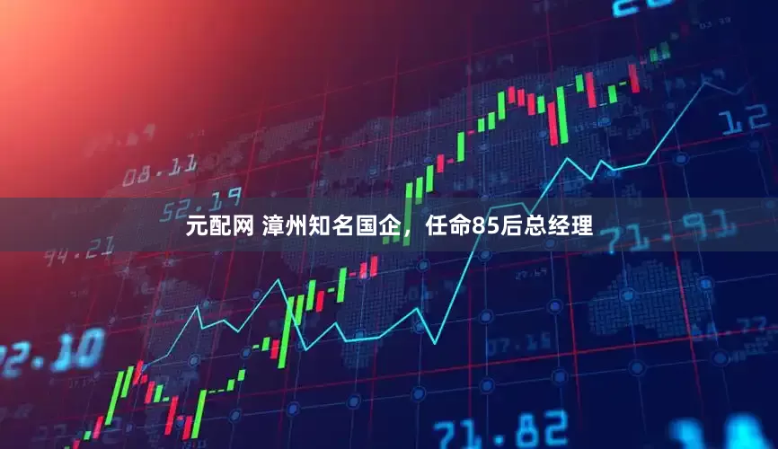 元配网 漳州知名国企，任命85后总经理