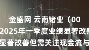 金盛网 云南锗业（002428）2025年一季度业绩显著改善但需关注现金流与债务风险