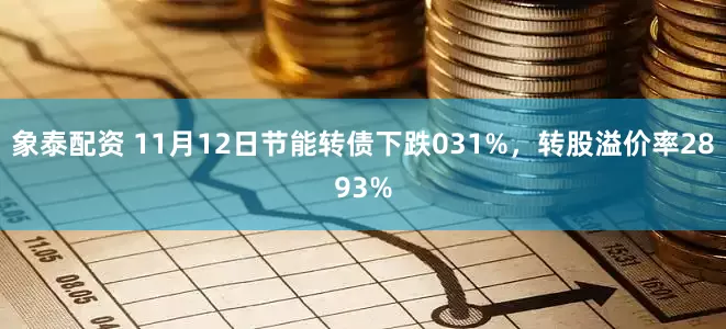 象泰配资 11月12日节能转债下跌031%，转股溢价率2893%